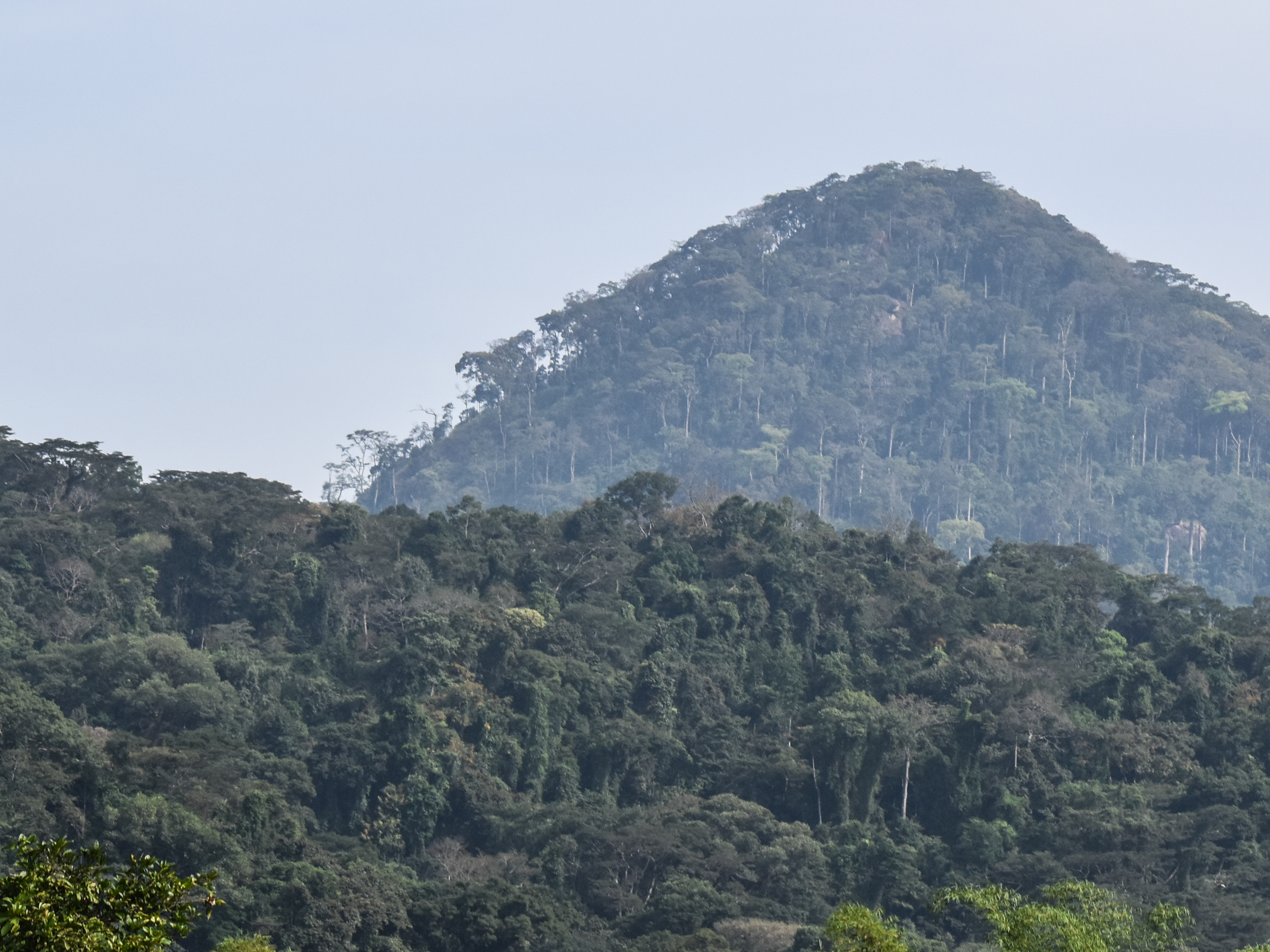 Ziama Massif